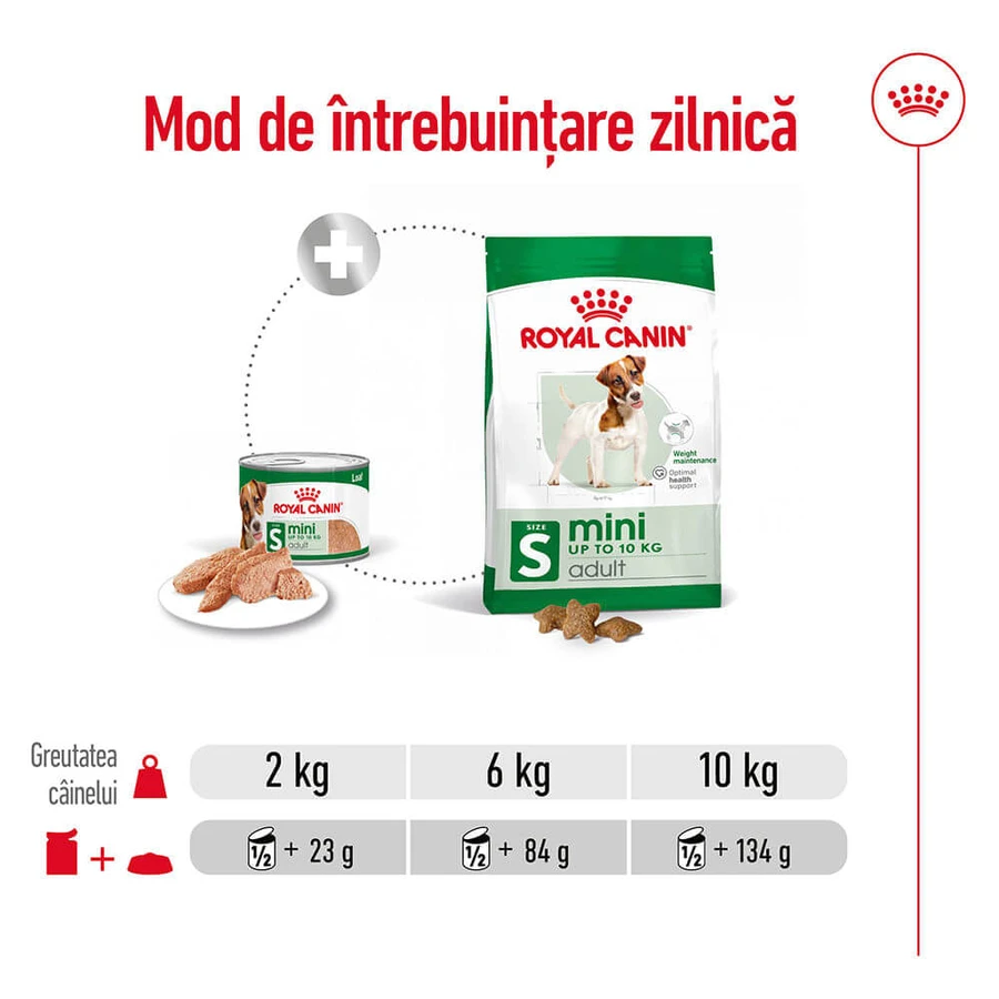 ROYAL CANIN Mini Adult nourriture humide pour chien (pâté), 195g