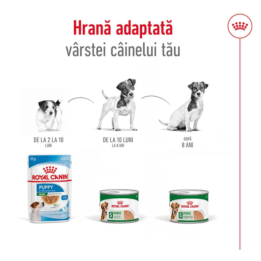 ROYAL CANIN Mini Adult nourriture humide pour chien (pâté), 195g