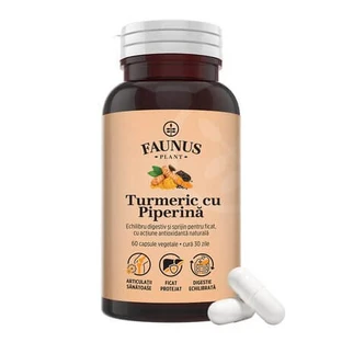 Kurkuma met Piperine, 60 capsules, Faunus