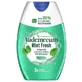 Zahnpasta 2in1 Minze Frisch, 75 ml, Vademecum