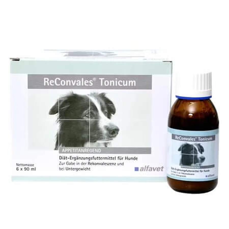 Tonic for dogs Reconvales, 90 ml, Alfavet