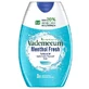 Toothpaste 2in1 Menthol Fresh, 75 ml, Vademecum