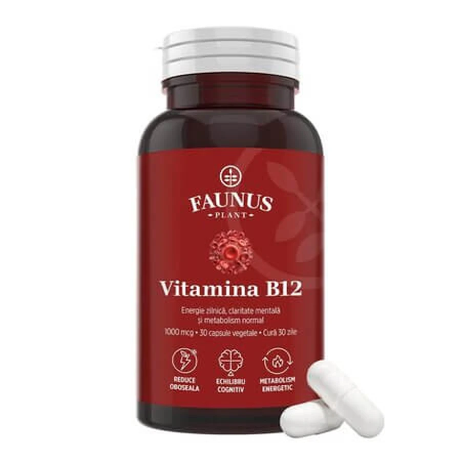 Vitamin B12, 30 Kapseln, Faunus