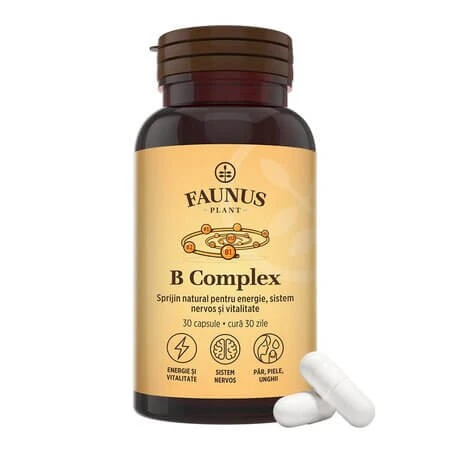 B complex, 30 pieces, Faunus