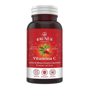 Liposomales Vitamin C, 90 Kapseln, Faunus