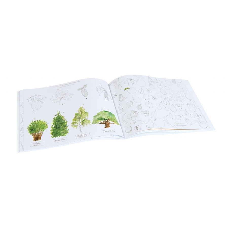Cuaderno de actividades Mi jardín, Moulin Roty
