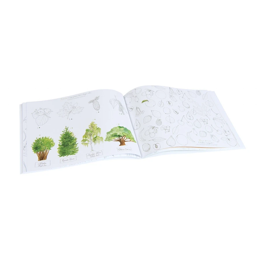 Cuaderno de actividades Mi jardín, Moulin Roty
