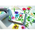 Creative kit - Flower and leaf press, Green Creativity