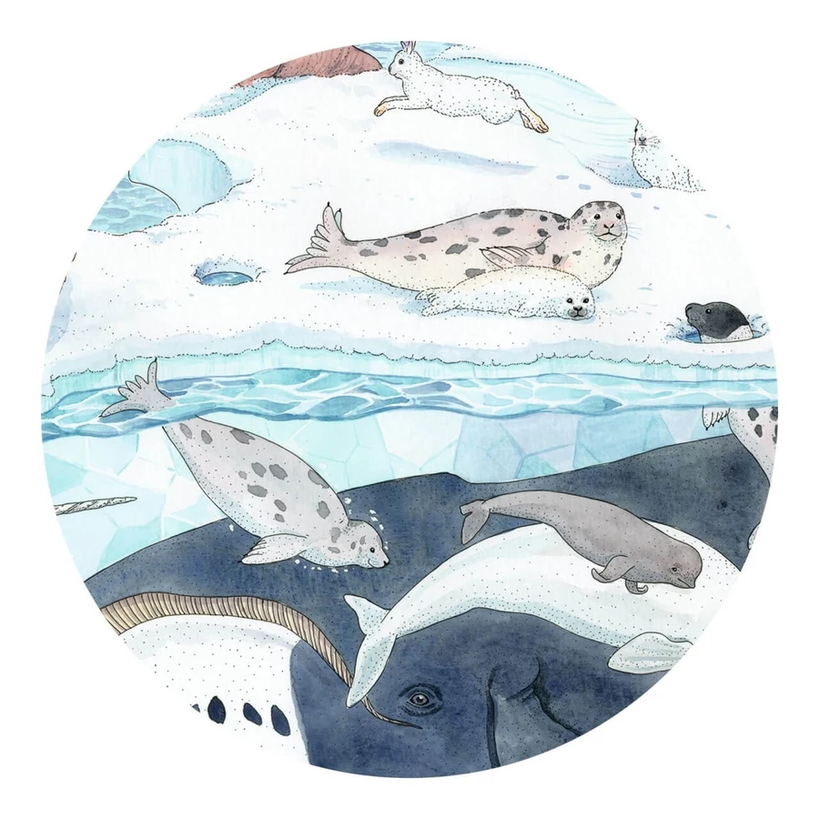 Puzzle Polar Blandete, Djeco