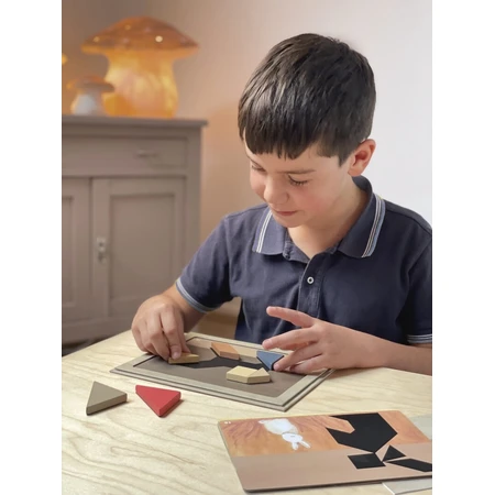 Tangram magnetic games, Egmont Toys