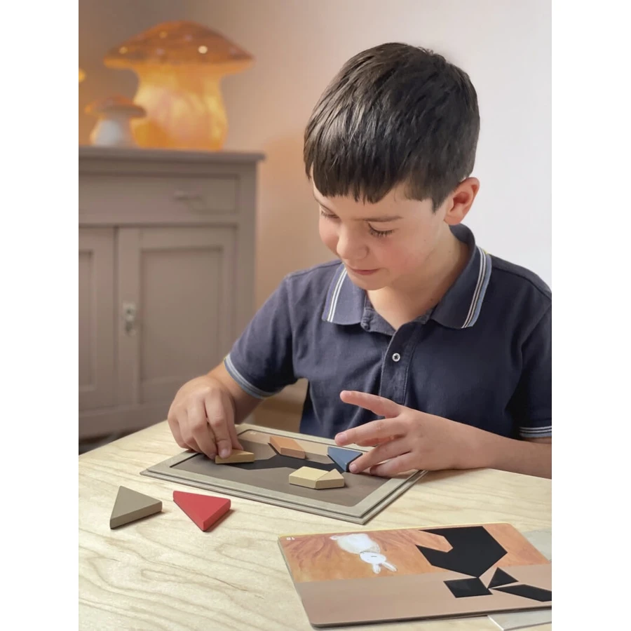 Tangram magnetic games, Egmont Toys