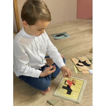 Tangram magnetic games, Egmont Toys