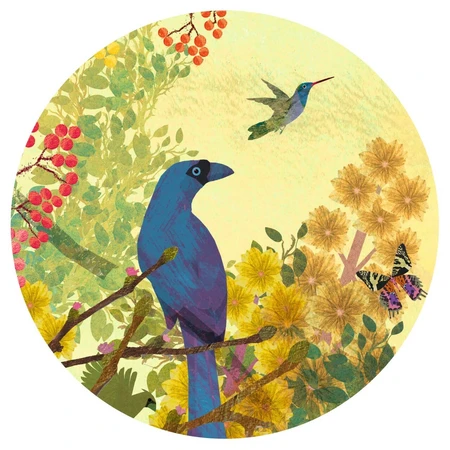 Puzzle gallery Tropical Paradise , Djeco