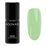 NeoNail, Eternal Fantasies hybrid polish, 7.2 ml