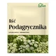 Flos
