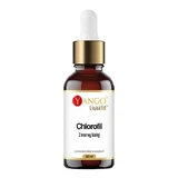 Yango Chlorofyl van witte moerbei, druppels, 30 ml