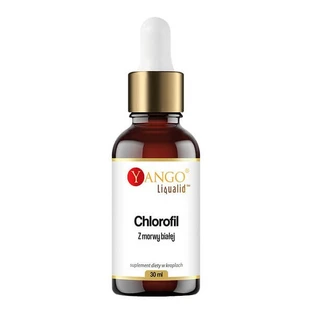 Yango Chlorophyll from white mulberry, drops, 30 ml