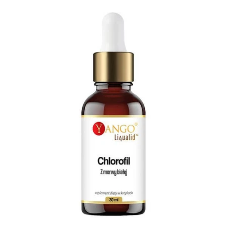Yango Chlorophyll from white mulberry, drops, 30 ml