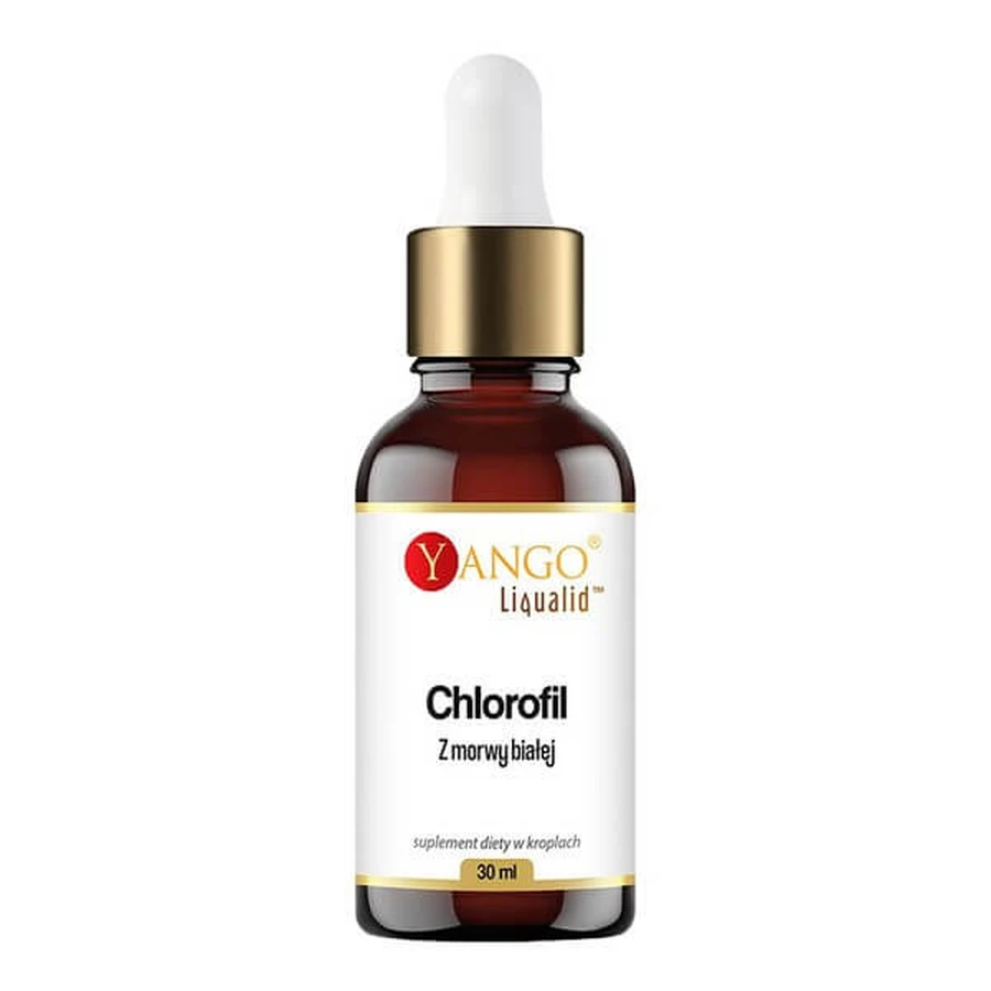 Yango Chlorophyll from white mulberry, drops, 30 ml