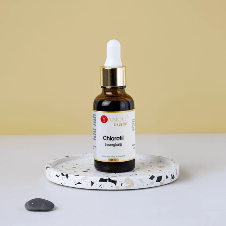 Yango Chlorophyll from white mulberry, drops, 30 ml