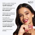 Neo Make Up, Long-lasting liquid lipstick, 02 Enduring Chic, 5 ml