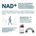 Endotelio, capsules, 30 pcs.