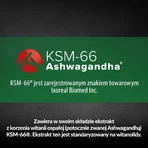 Salvitis Ashwagandha, capsules, 60 st.