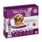 Vectra 3D Solution für Hunde 25-40 kg, Parasitenschutz, Pipetten, 3 Stück.