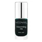 NeoNail Blooming Inkt, Decoratie-inkt, Groen, 7.2 ml