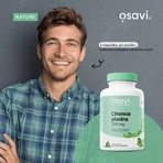 Osavi Chanca piedra 500 mg, harde capsules, 60 st.