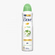 Dove