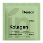 Intenson Collagen + Hyaluronsäure + Vitamin C, Pulver, Wassermelonengeschmack, 11,5 g