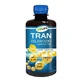 Isländischer Lebertran mit Zitronengeschmack, 250 ml