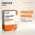 Equazen Forte, capsules, 60 st.
