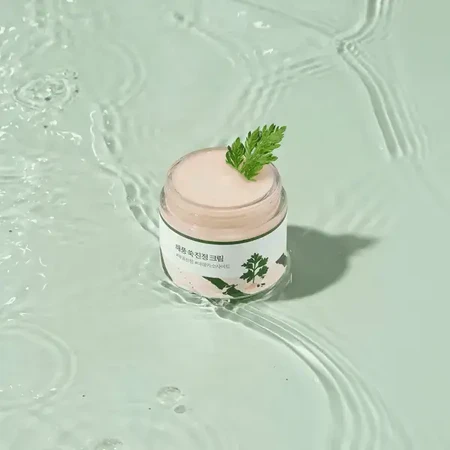 Round Lab Mugwort Calming Cream, crème pour le visage, 80 ml