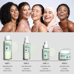 APLB Crema Facial AHA BHA PHA Centella, crema facial exfoliante y calmante con ácidos y Centella Asiática, 55 ml