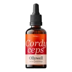 Lot de 2 x Ollywell BIO Cordyceps, gouttes, 30 ml