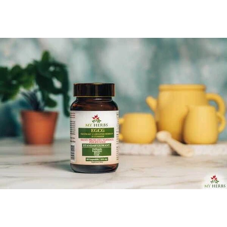 My Herbs EGCG Groene Thee Extract met Zink, capsules, 80 st.