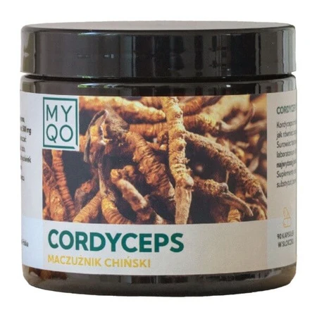 MYQO Cordyceps sinensis Chinese foelie, capsules, 90 st.