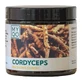 MYQO Cordyceps sinensis Chinese foelie, capsules, 90 st.
