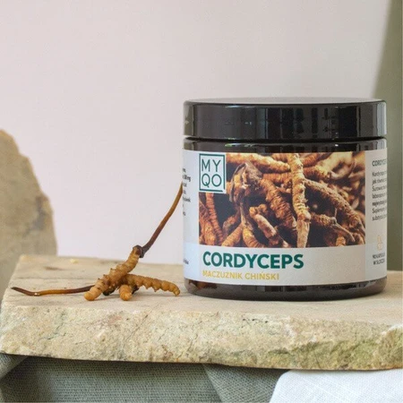 MYQO Cordyceps sinensis Chinese foelie, capsules, 90 st.