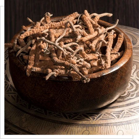 MYQO Cordyceps sinensis Chinese foelie, capsules, 90 st.
