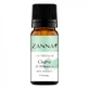 Ätherisches Zedernöl aus dem Himalaya, 10 ml, Zanna
