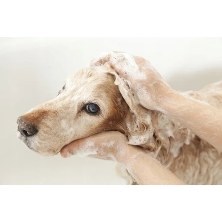 Dr. Lucy Eco, Shampoo für langes und fließendes Haar für Hunde, 200 ml