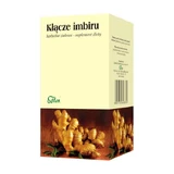 Flos Ginger rhizome, herbal tea in sachets, 1.5 g x 25 pcs.