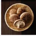 MYQO BIO Shiitake Japans kernhout, poeder, 100 g