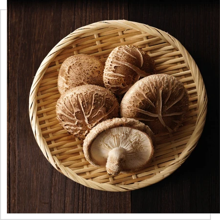 MYQO BIO Shiitake Japans kernhout, poeder, 100 g