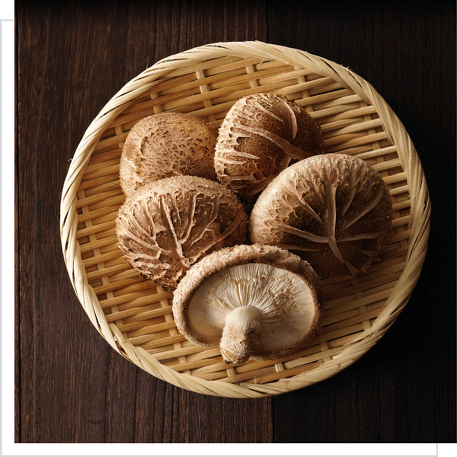 MYQO BIO Shiitake Japans kernhout, poeder, 100 g
