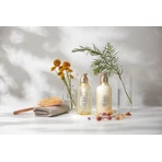S Free, Silky Smooth, șampon de păr hidratant și netezitor, 480 ml