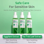APLB AHA BHA PHA Centella Mist Essence, Gesichtsnebel-Essenz mit Säuren und Centella Asiatica, 105 ml.